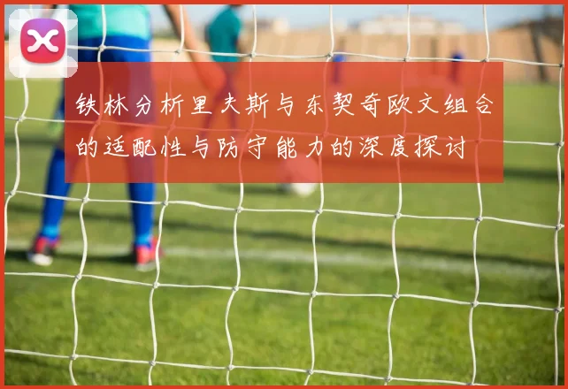 铁林分析里夫斯与东契奇欧文组合的适配性与防守能力的深度探讨